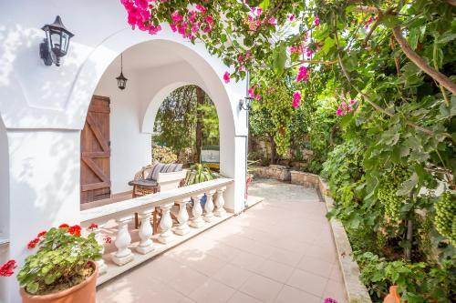 alikes alykes to konaki Zakynthos